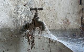 Как пауки проникают в жилище?