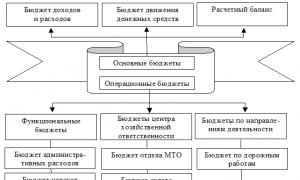 Финансовый отдел предприятия: формирование и регламенты